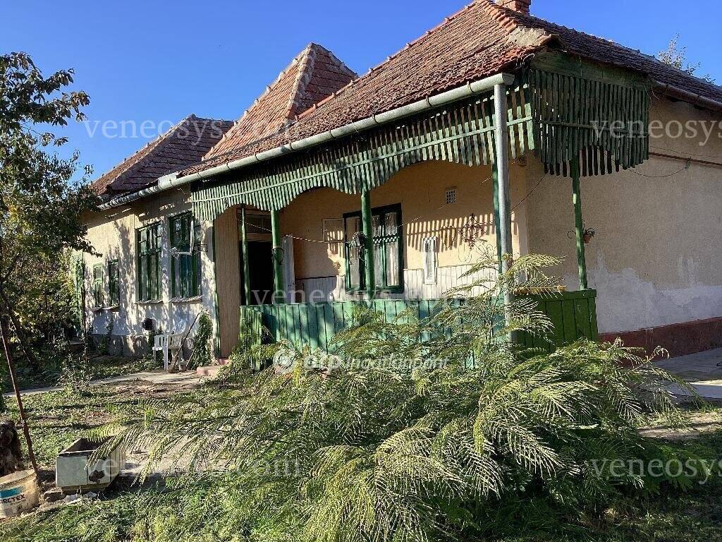 Kép 10