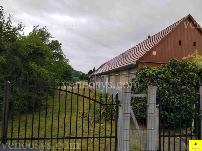 Kép 6