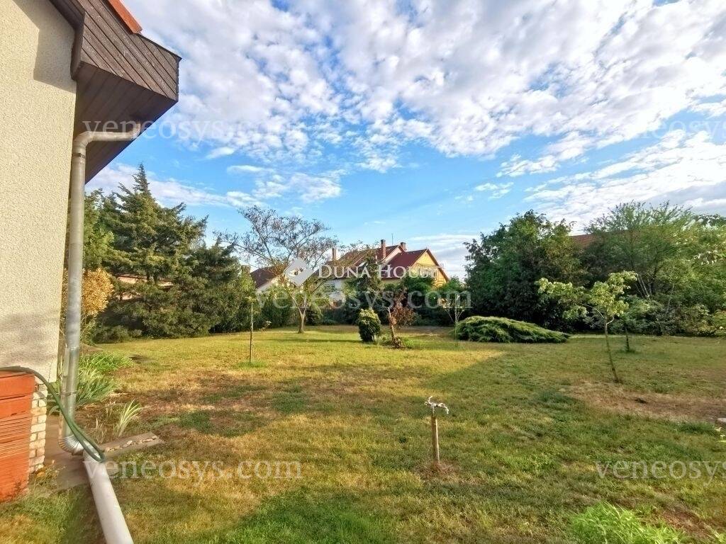 Kép 5