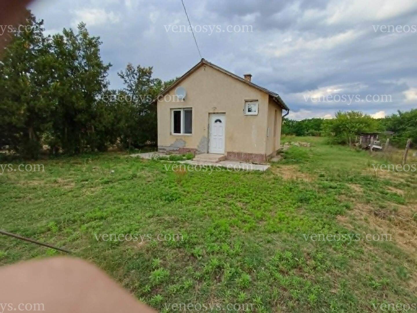 Kép 5