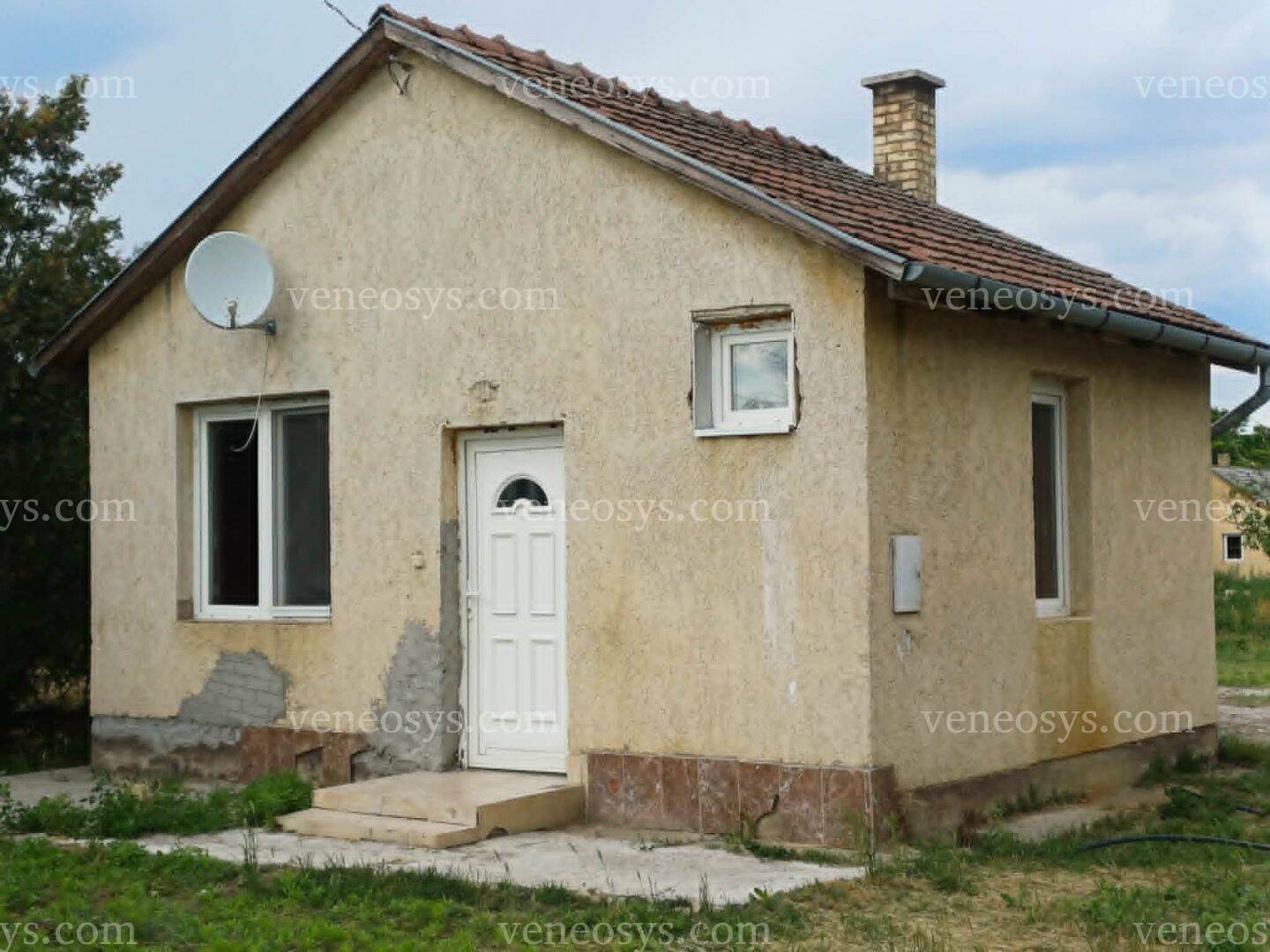 Kép 6