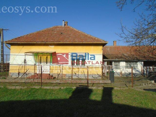 Kép 1