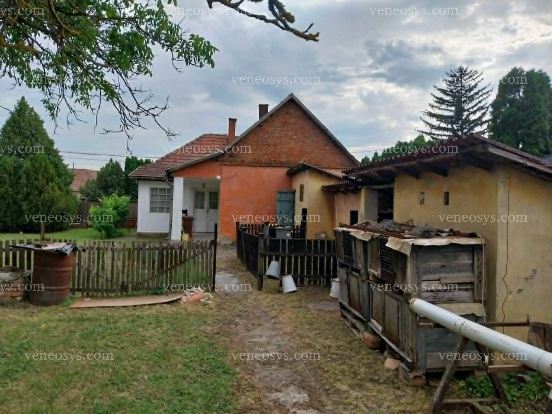 Kép 15