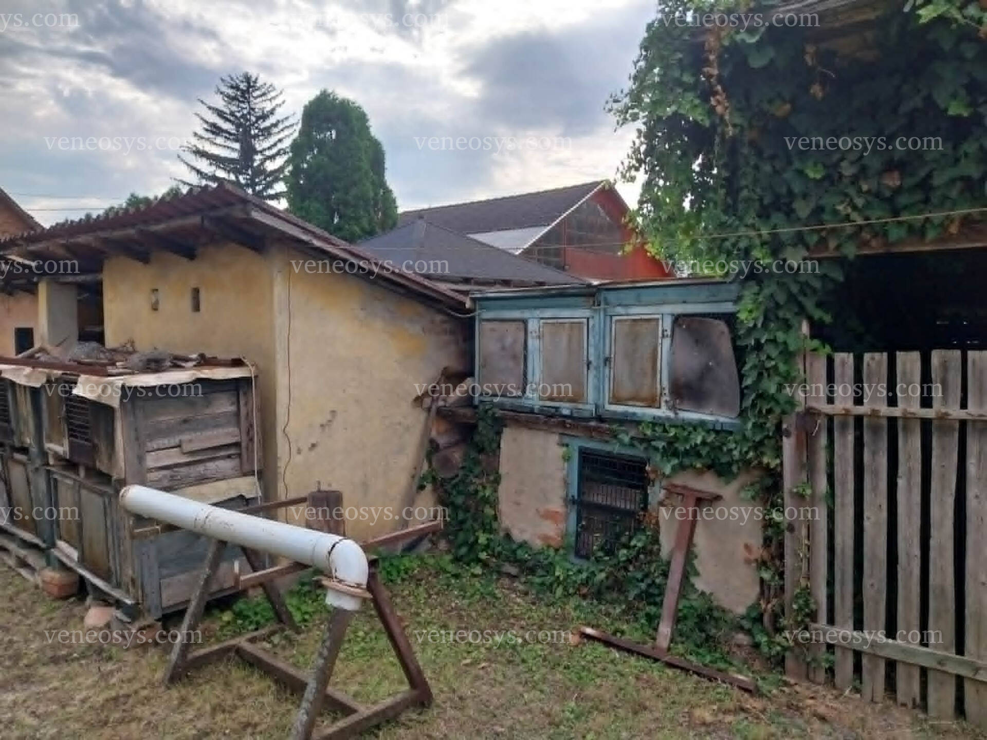 Kép 14