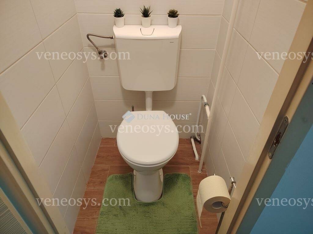 Kép 24