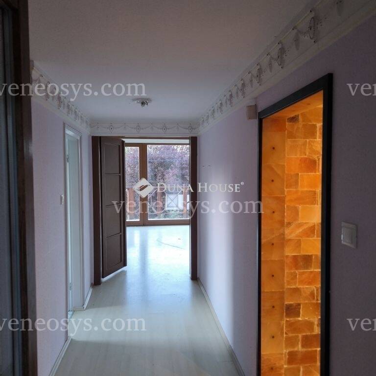 Kép 12