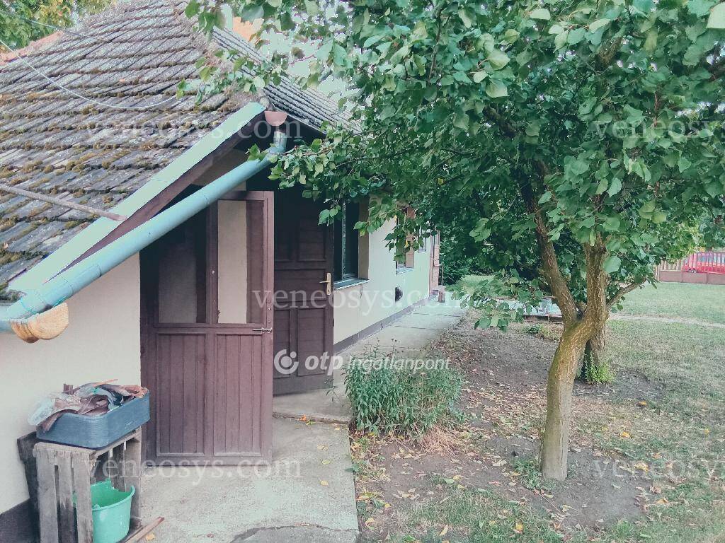 Kép 15