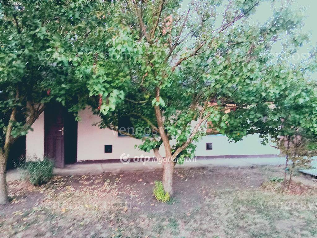Kép 13