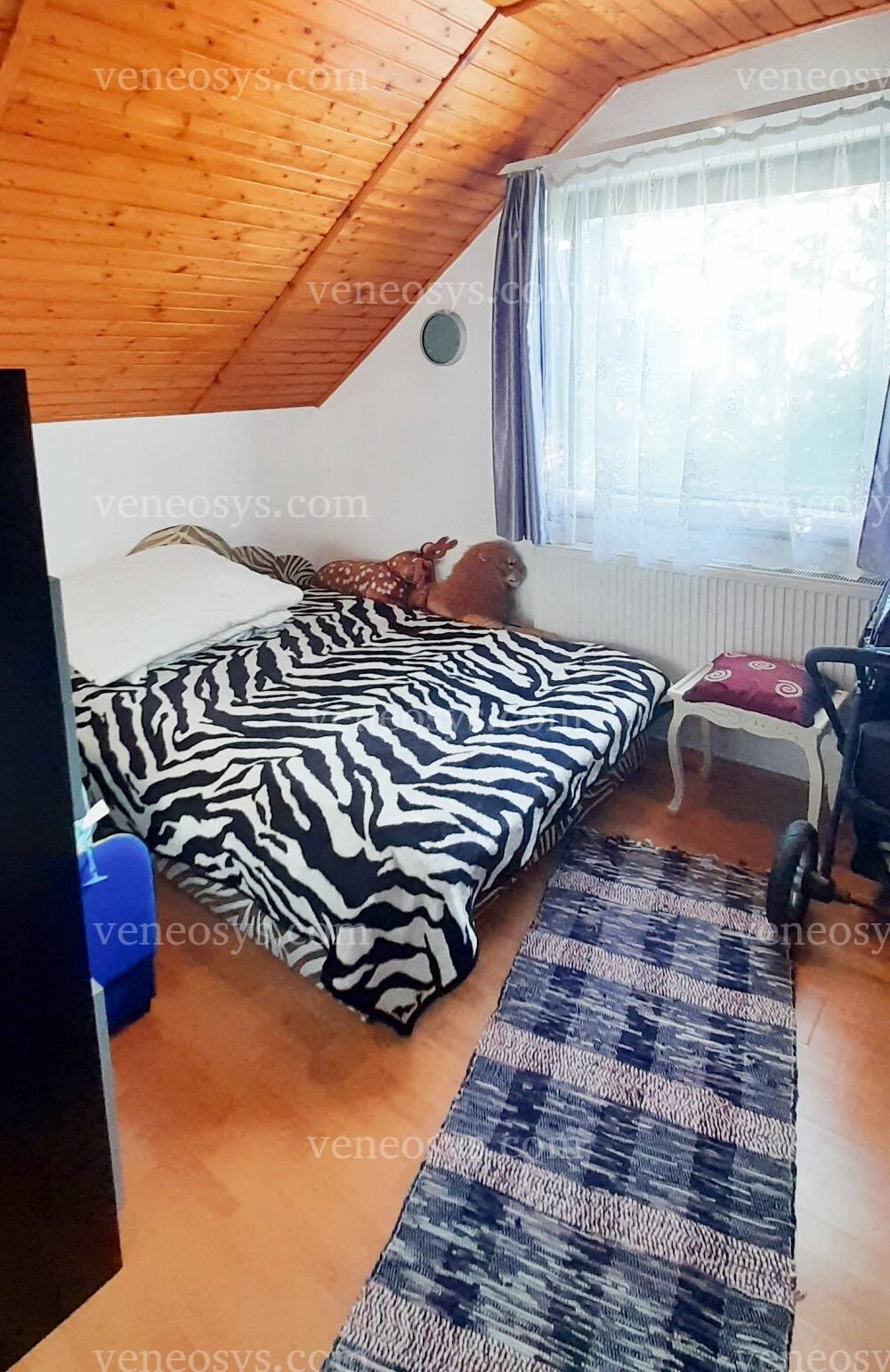 Kép 5