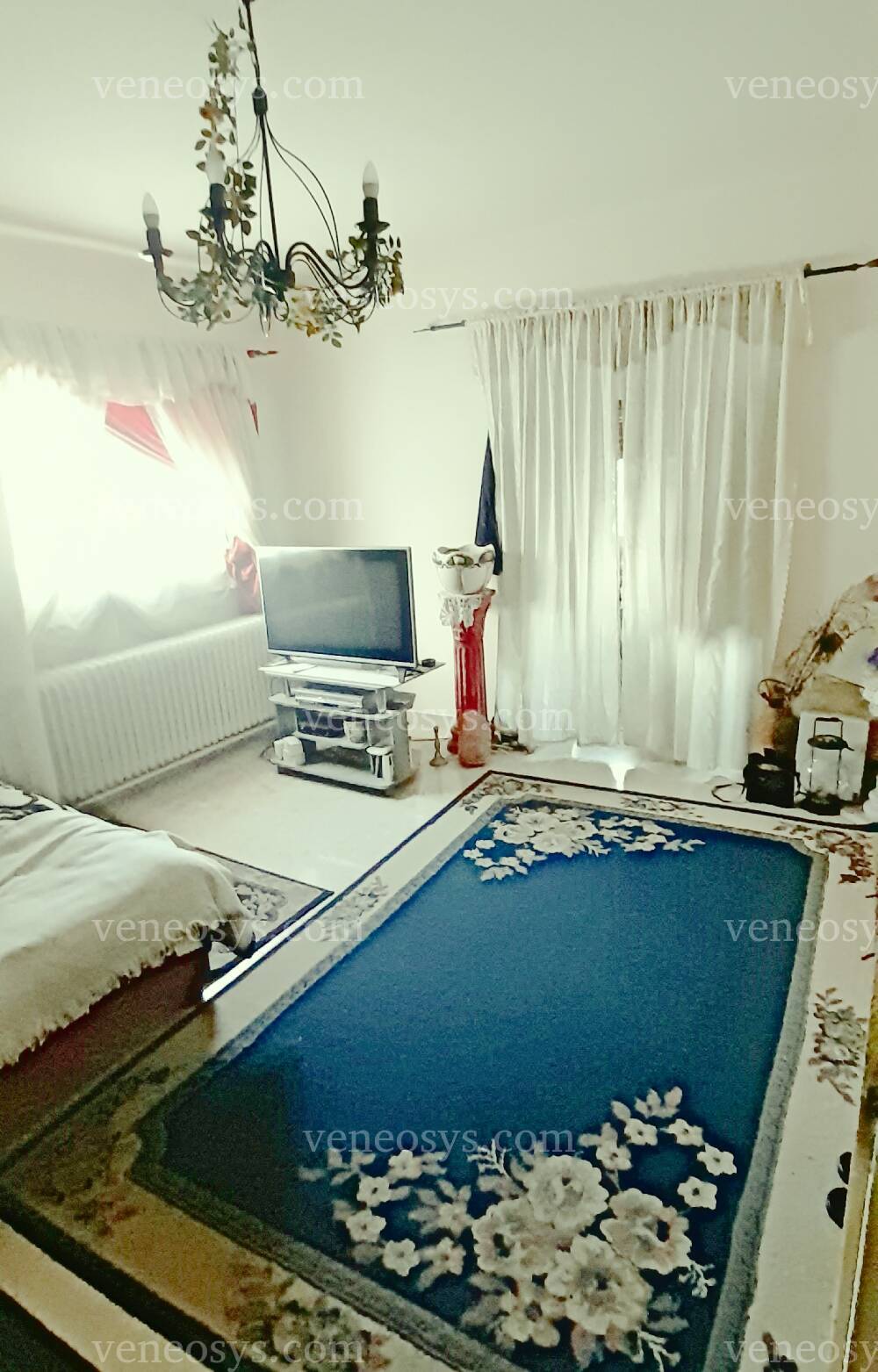 Kép 6