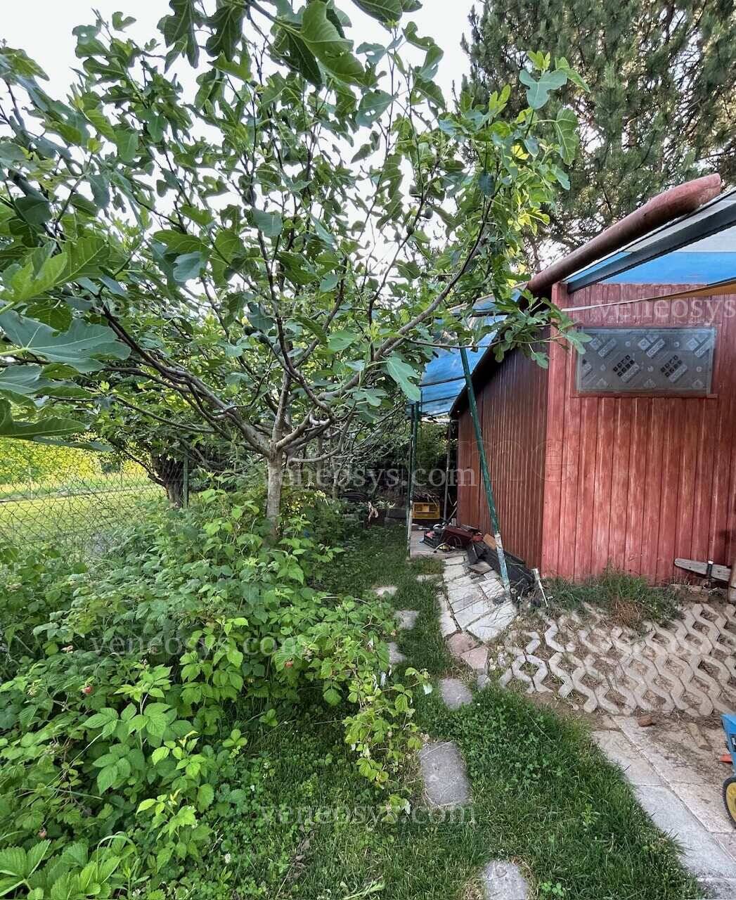 Kép 7