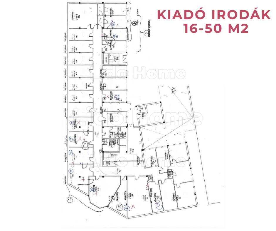 Kép 11
