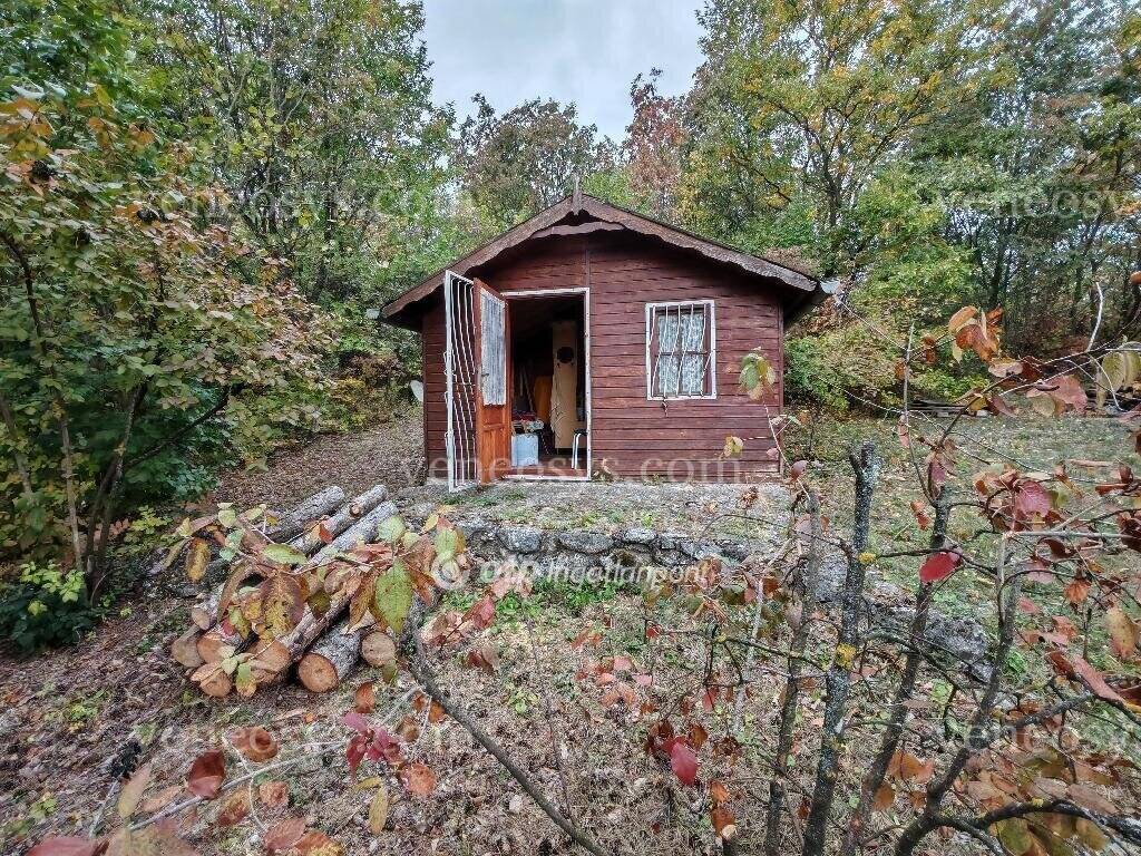 Kép 7
