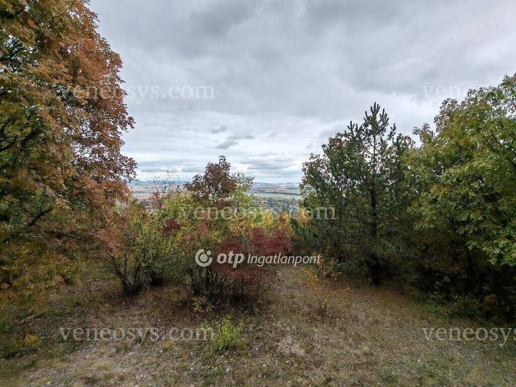 Kép 5