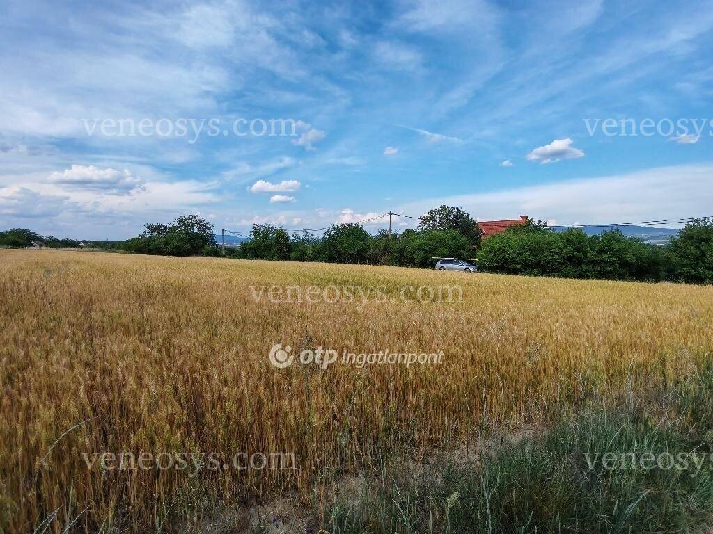 Tök