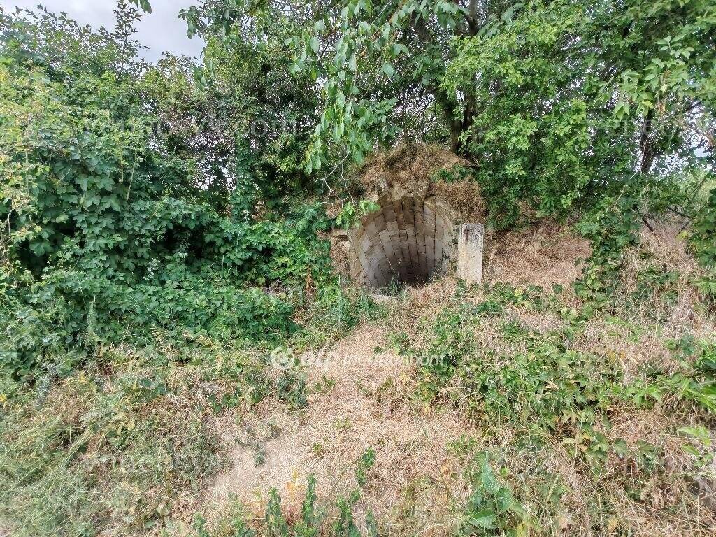 Kép 7