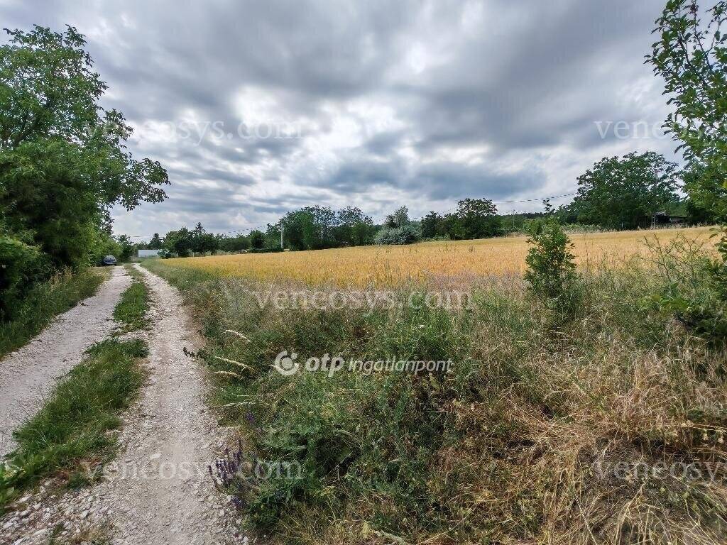 Kép 3