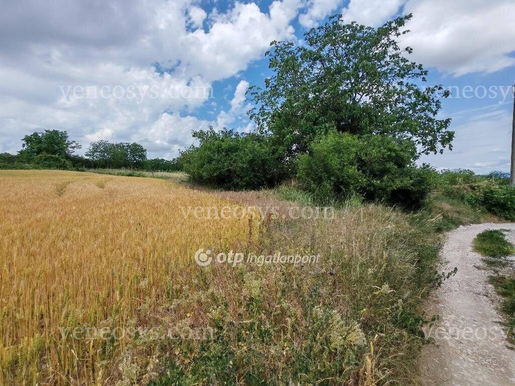 Kép 4