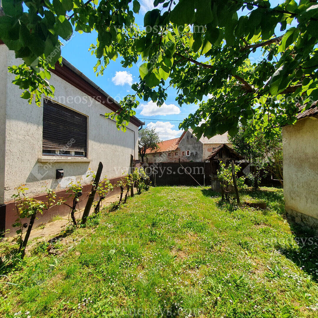 Kép 4