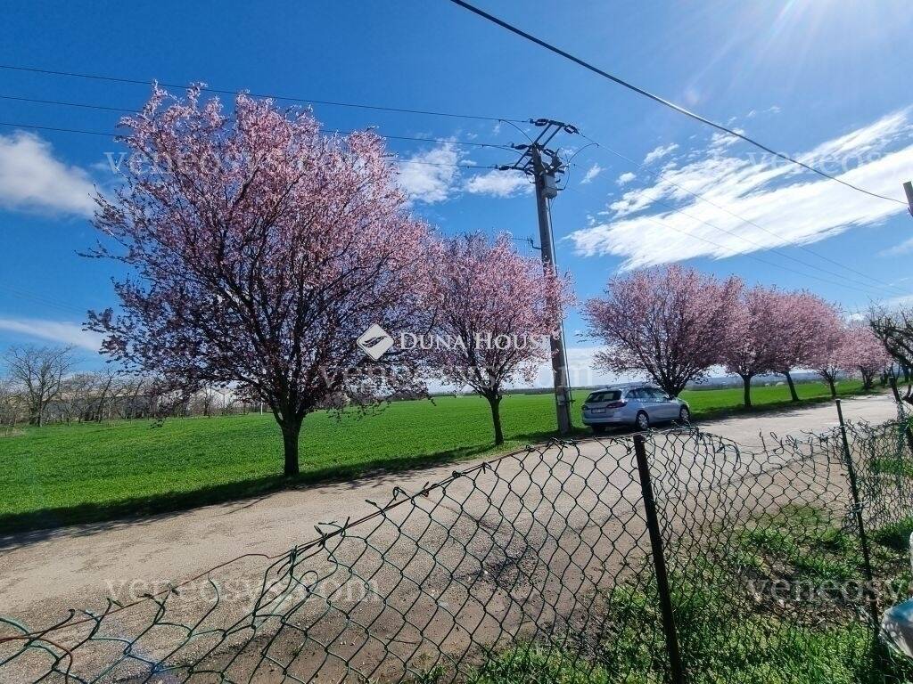 Kép 8
