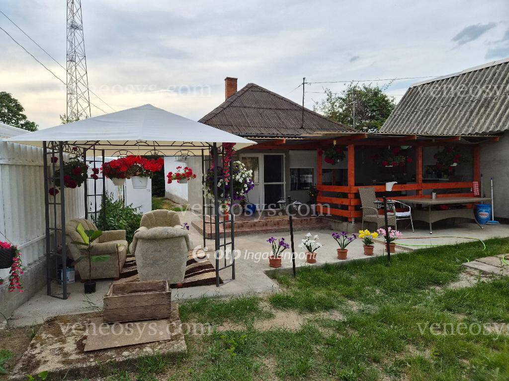 Kép 6