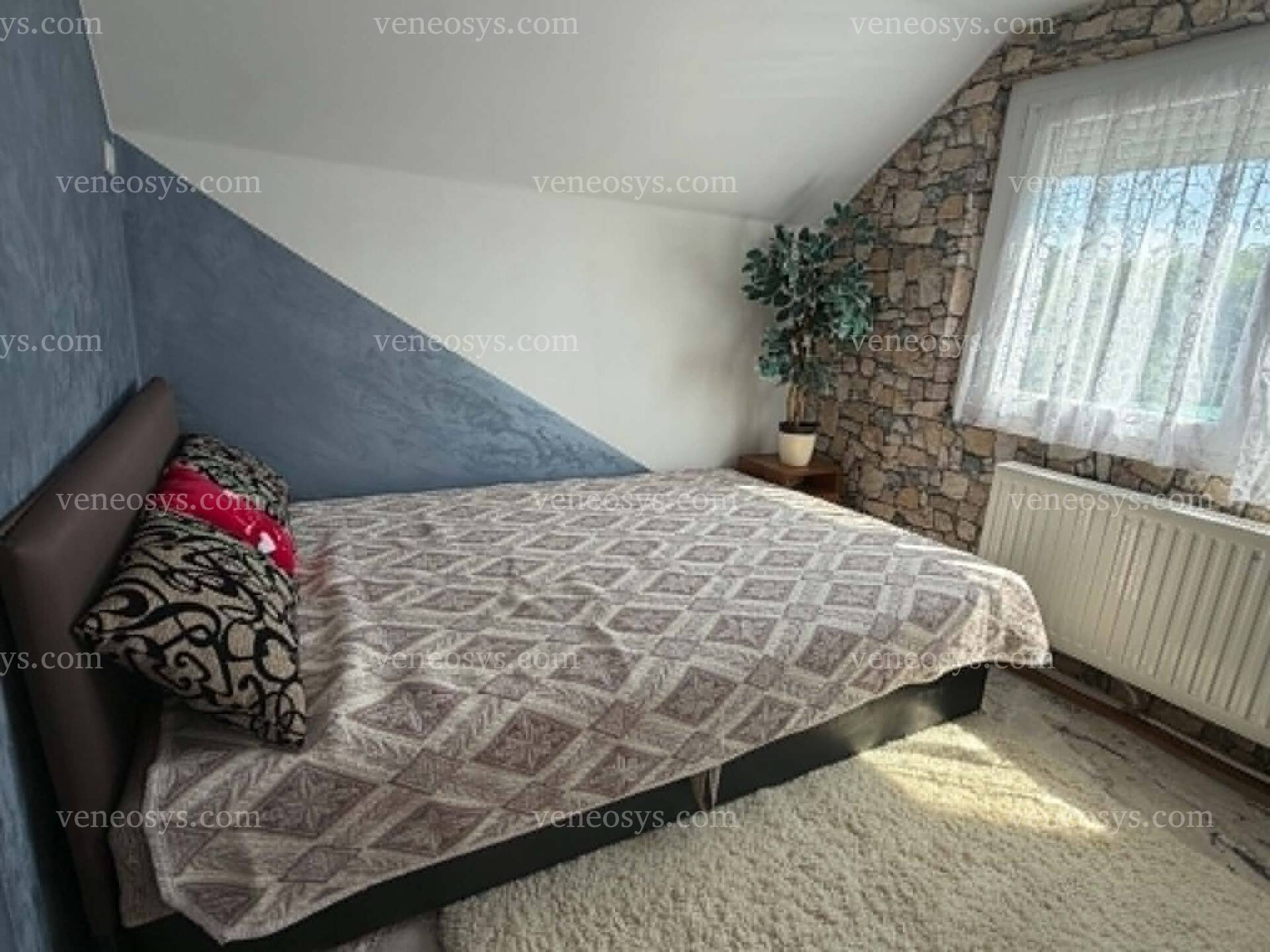Kép 7