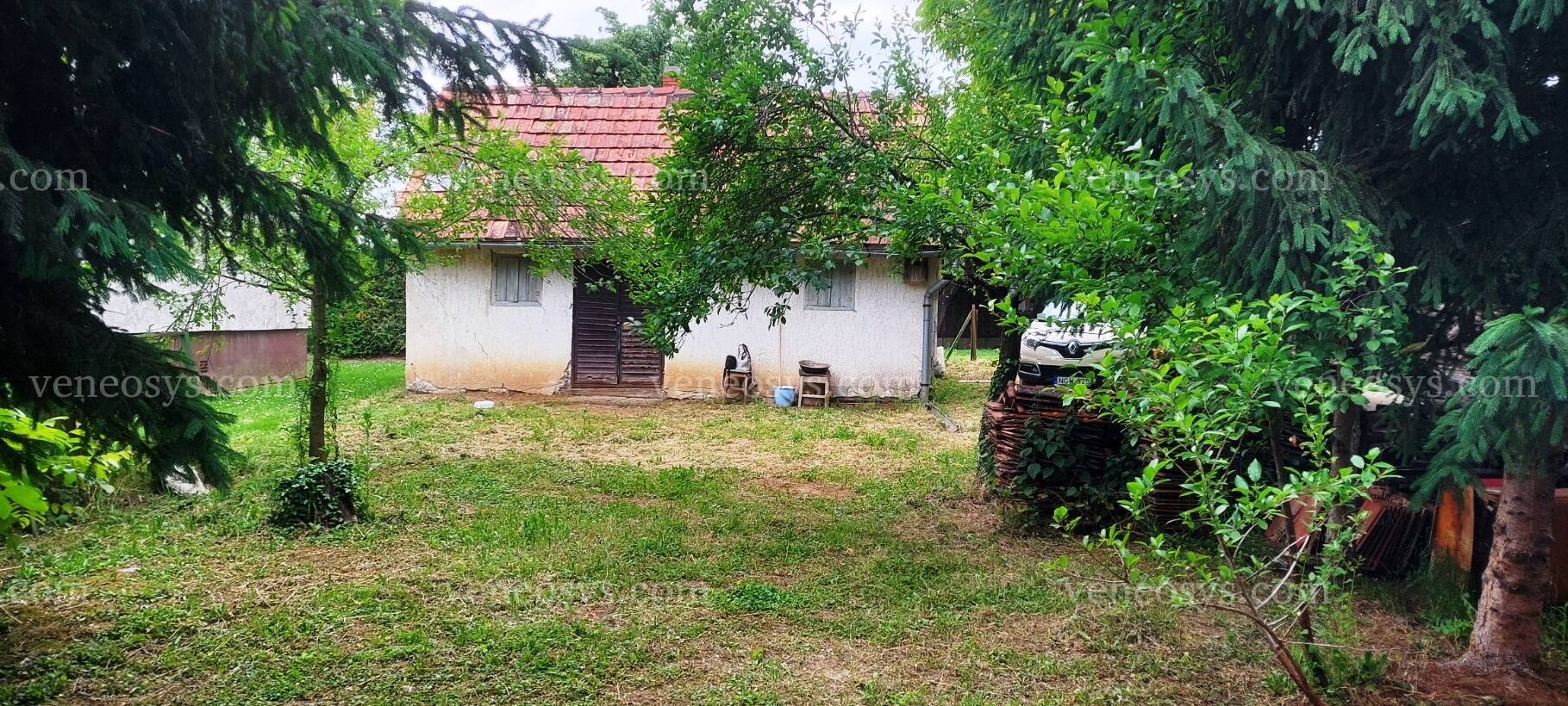 Kép 4