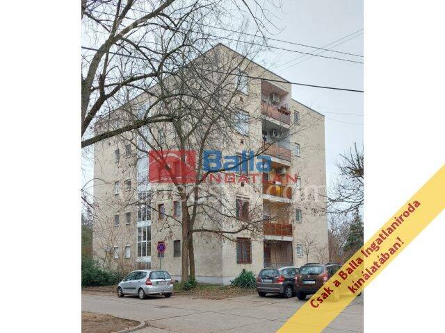 Kép 5