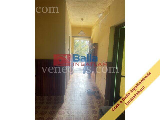 Kép 6