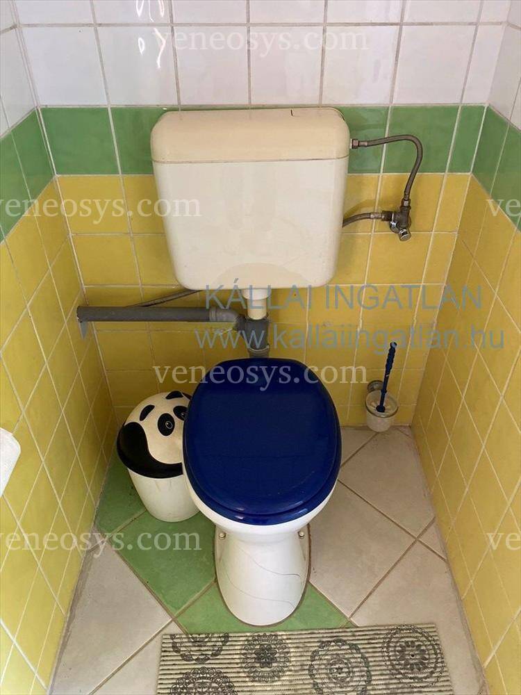 Kép 12