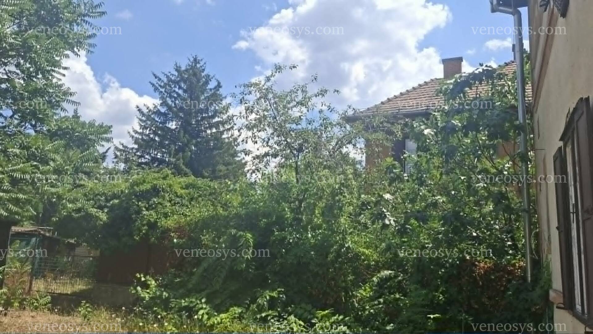 Kép 16