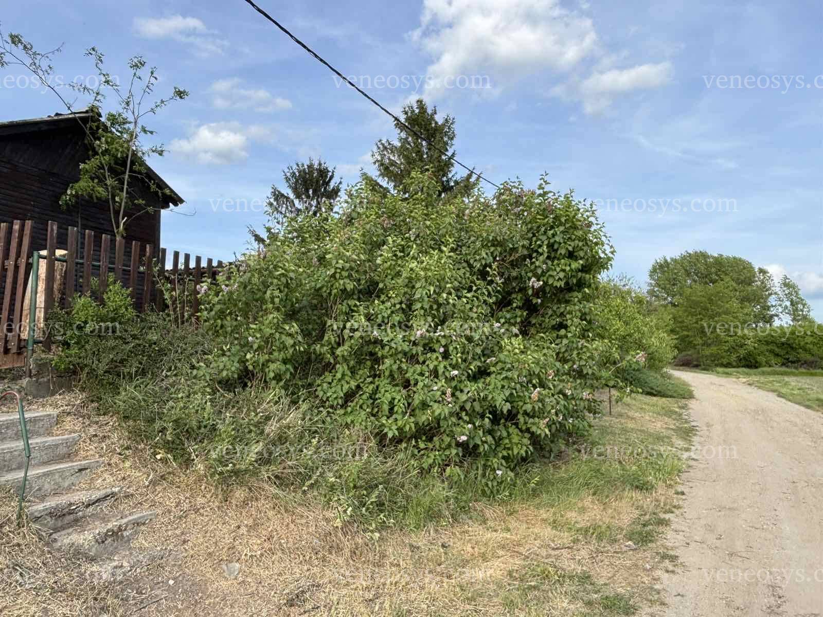 Kép 4