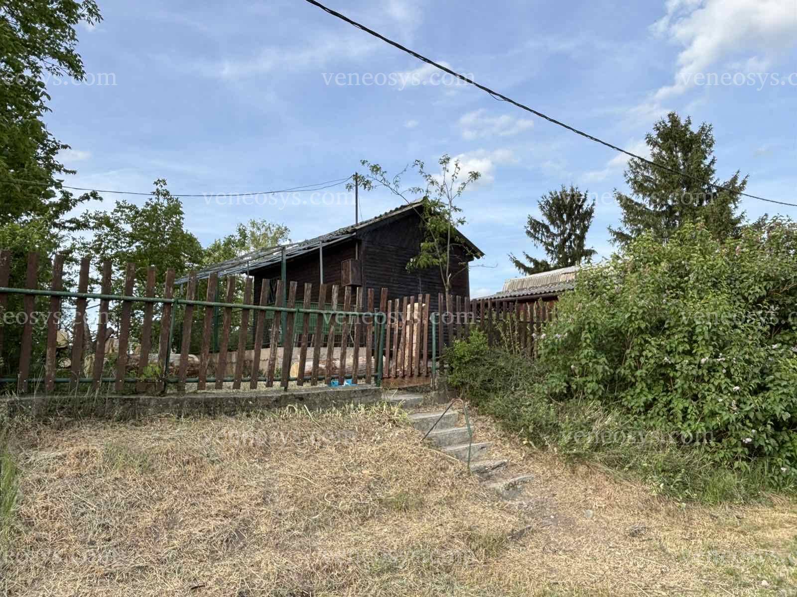 Kép 5