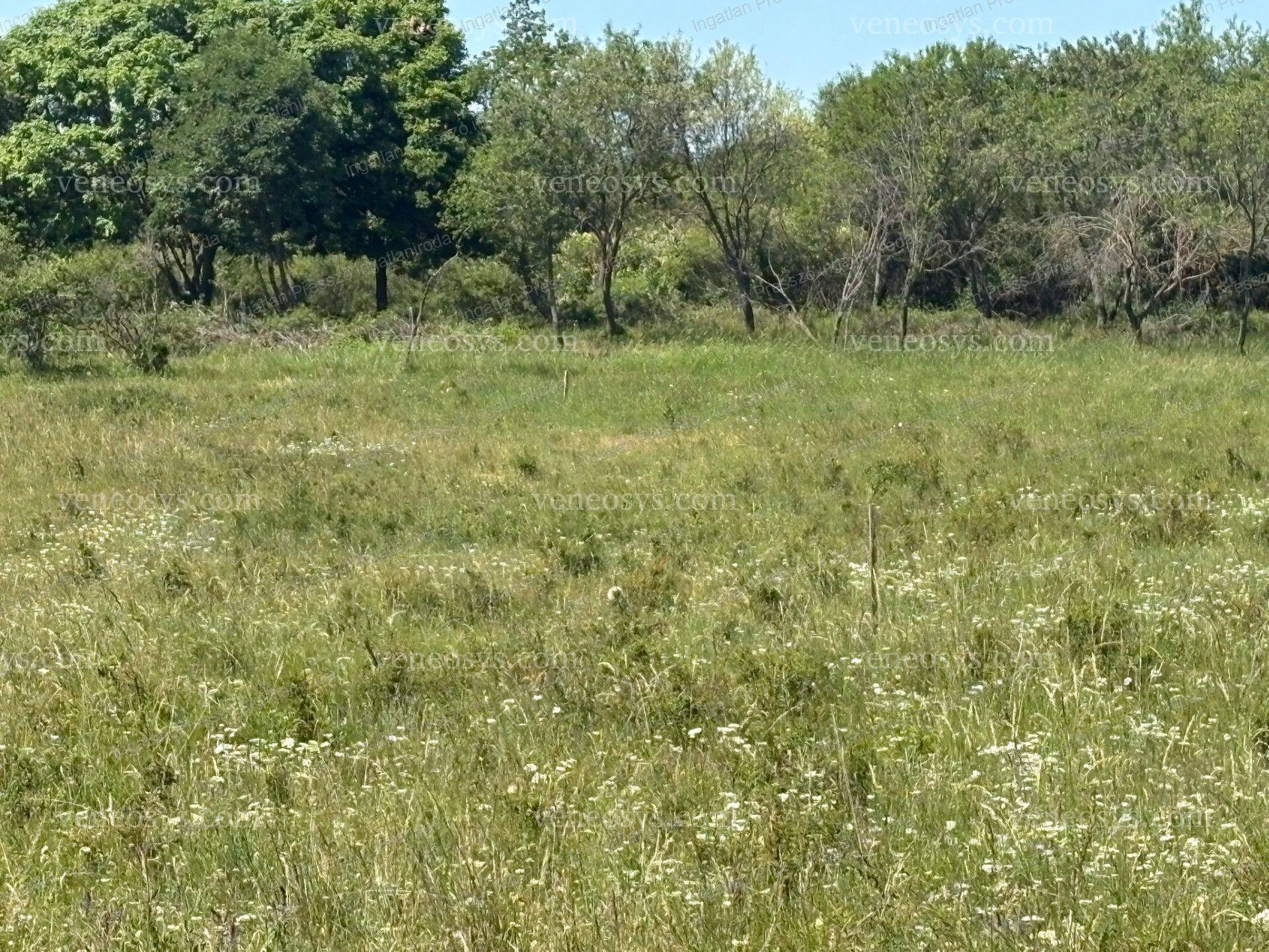 Kép 8