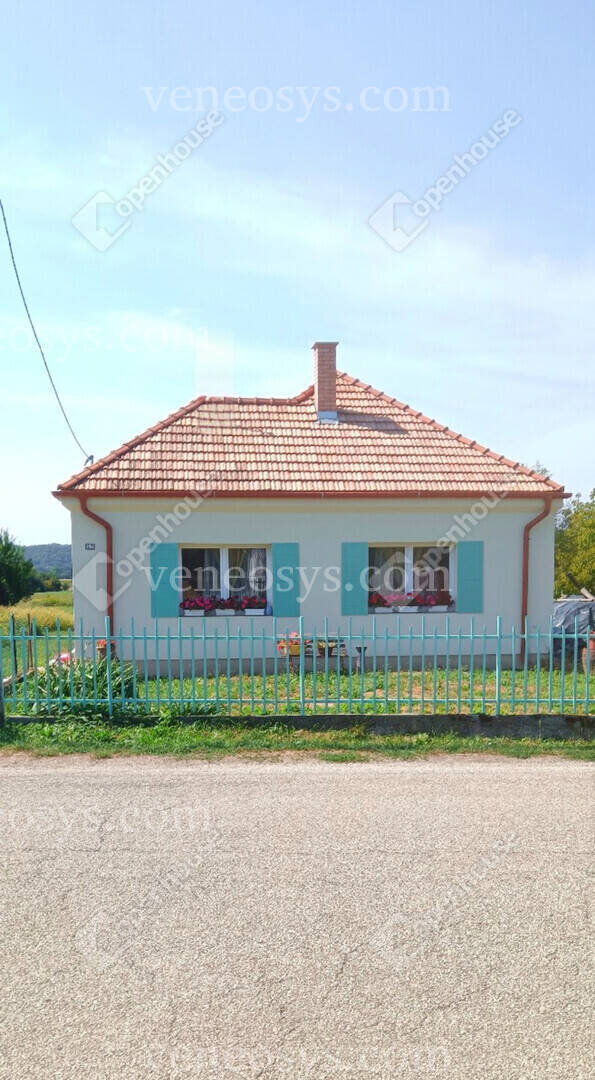 Kép 10