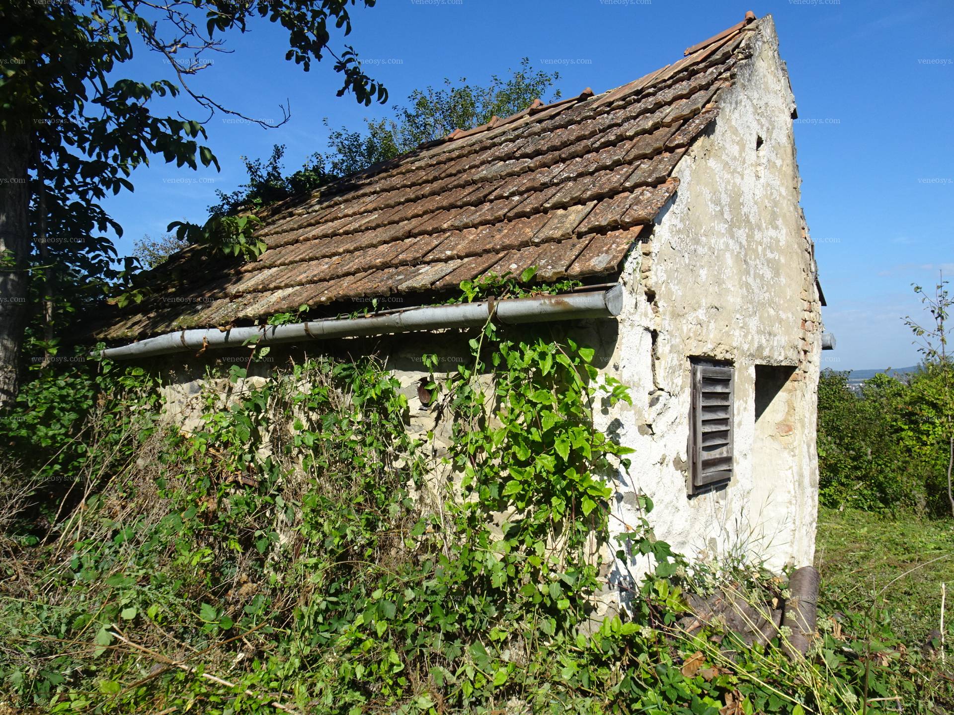 Kép 8