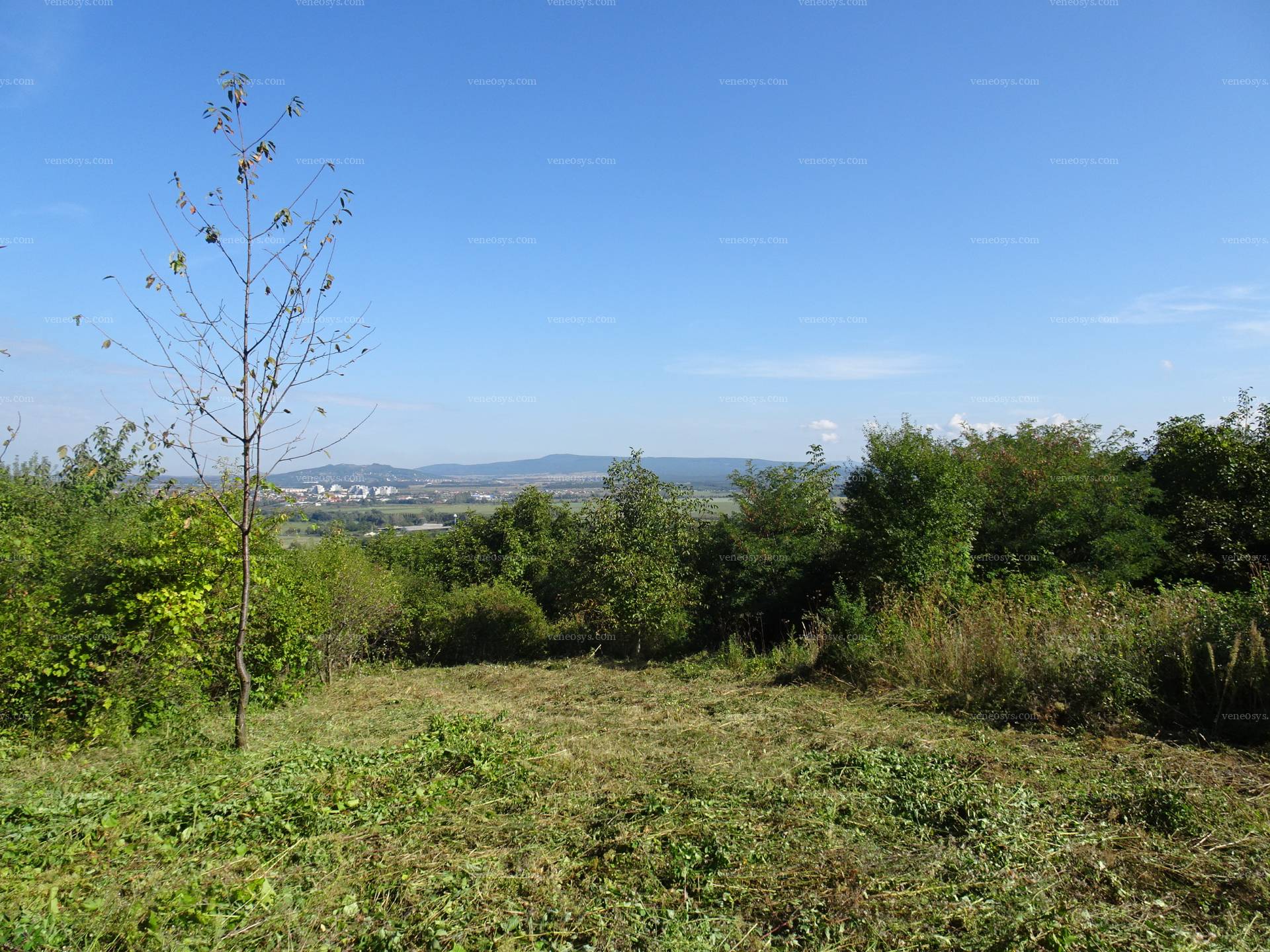 Kép 10