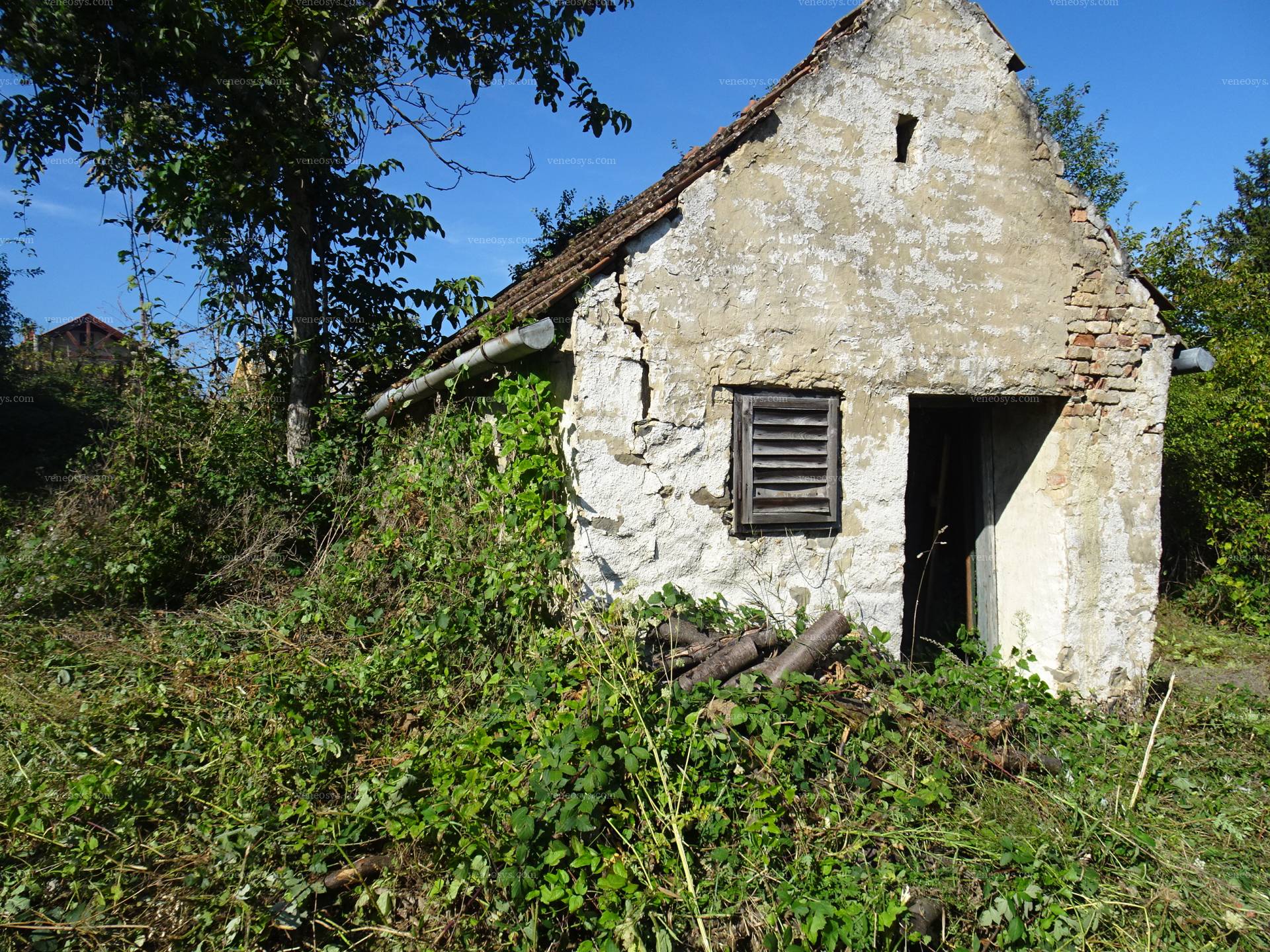 Kép 7