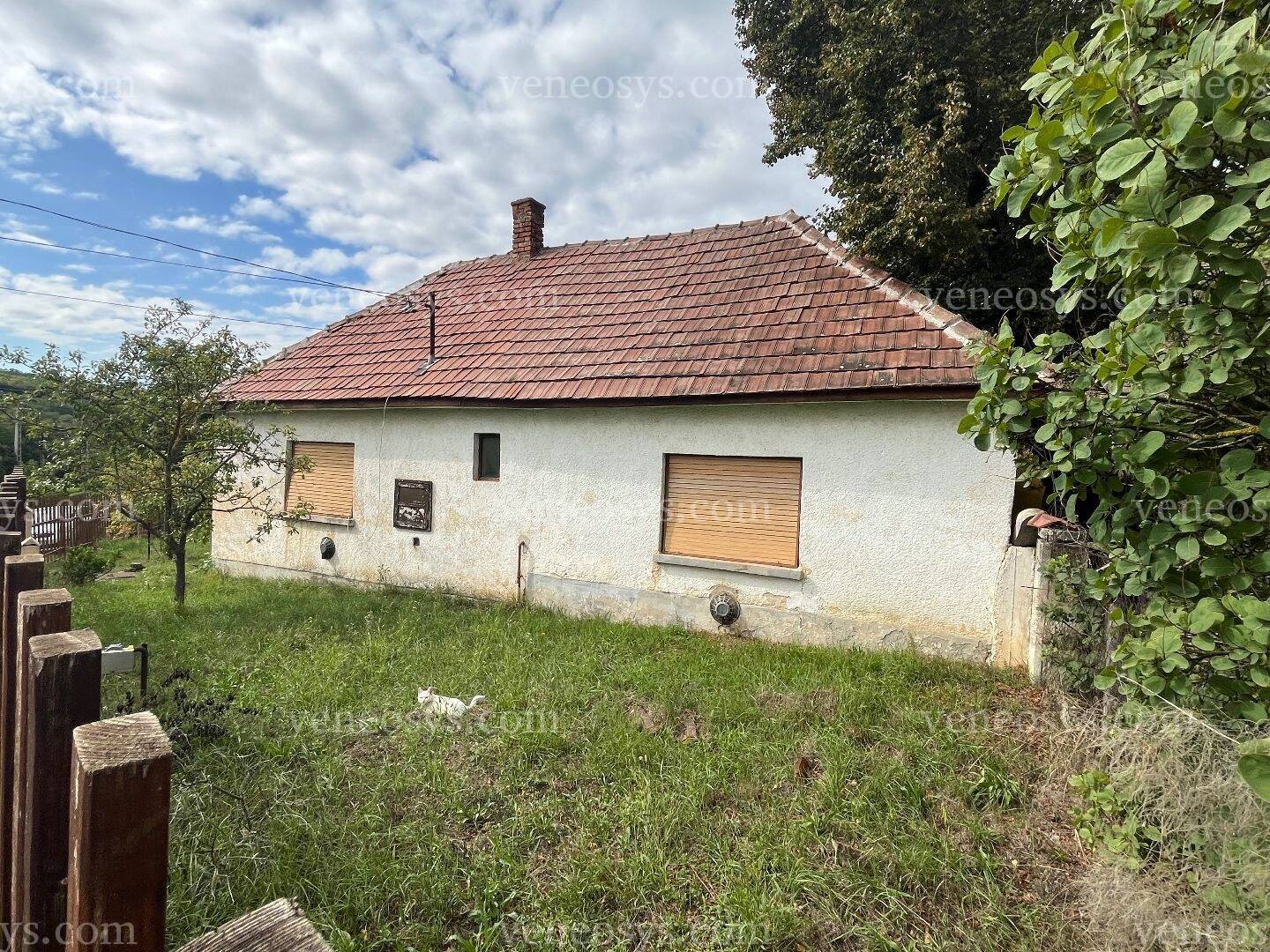Kép 9