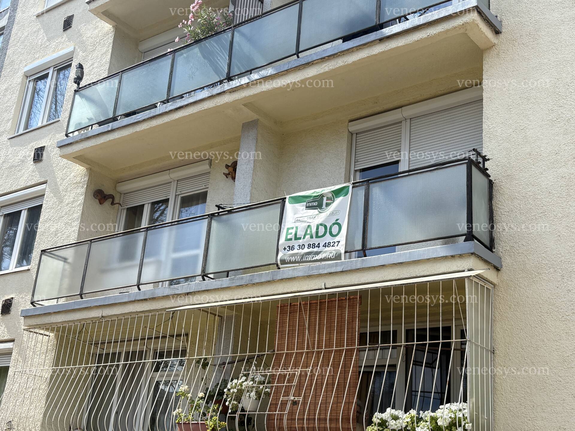 Kép 12