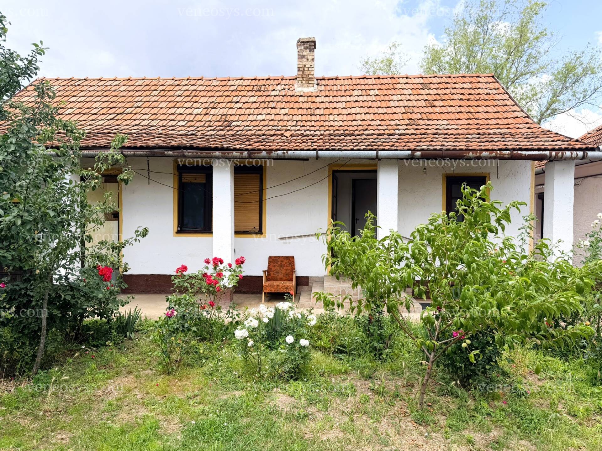 Kép 13