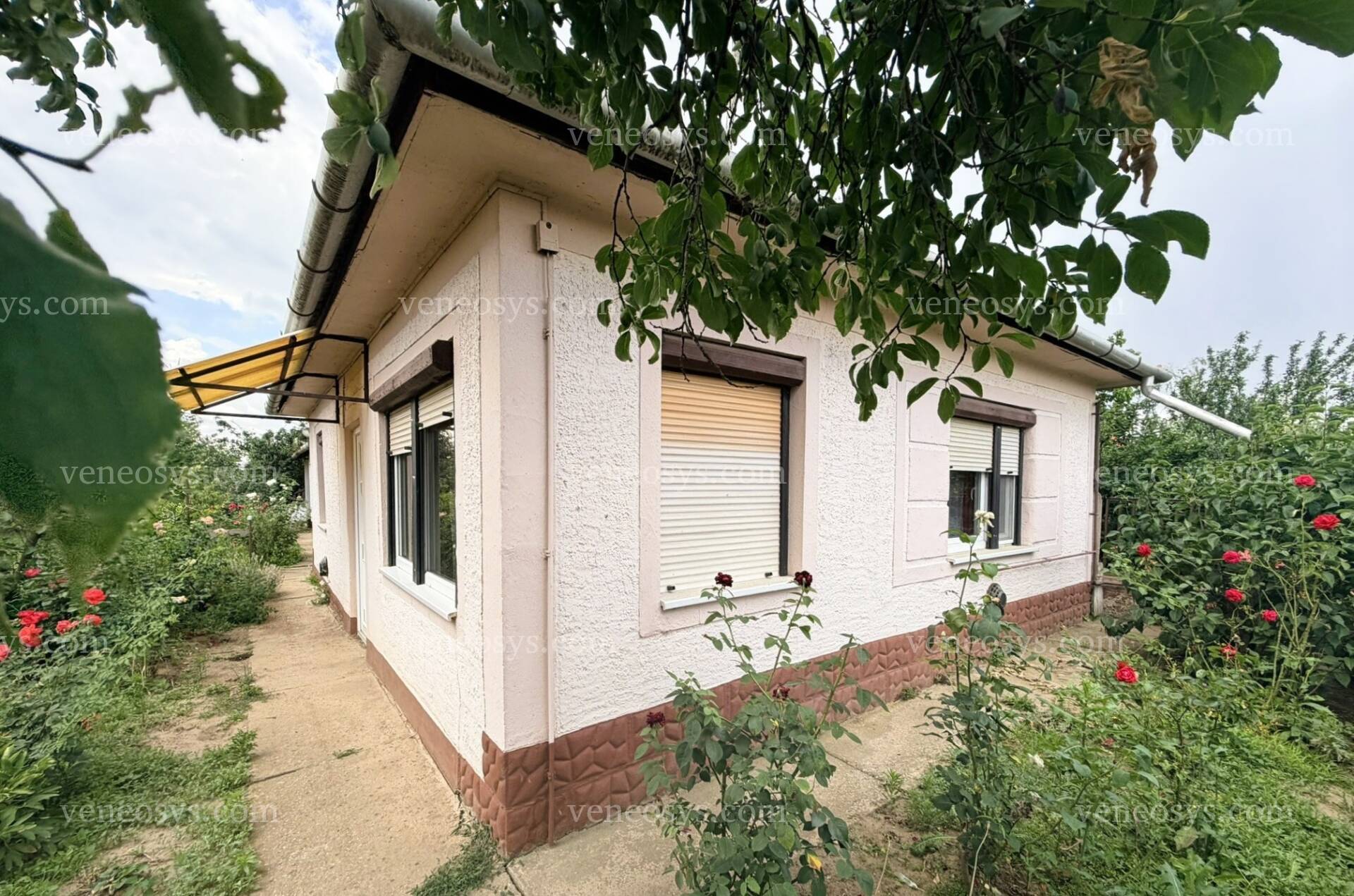 Kép 3