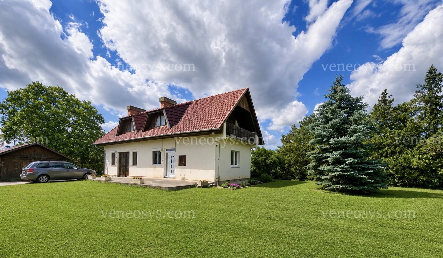 Kép 5