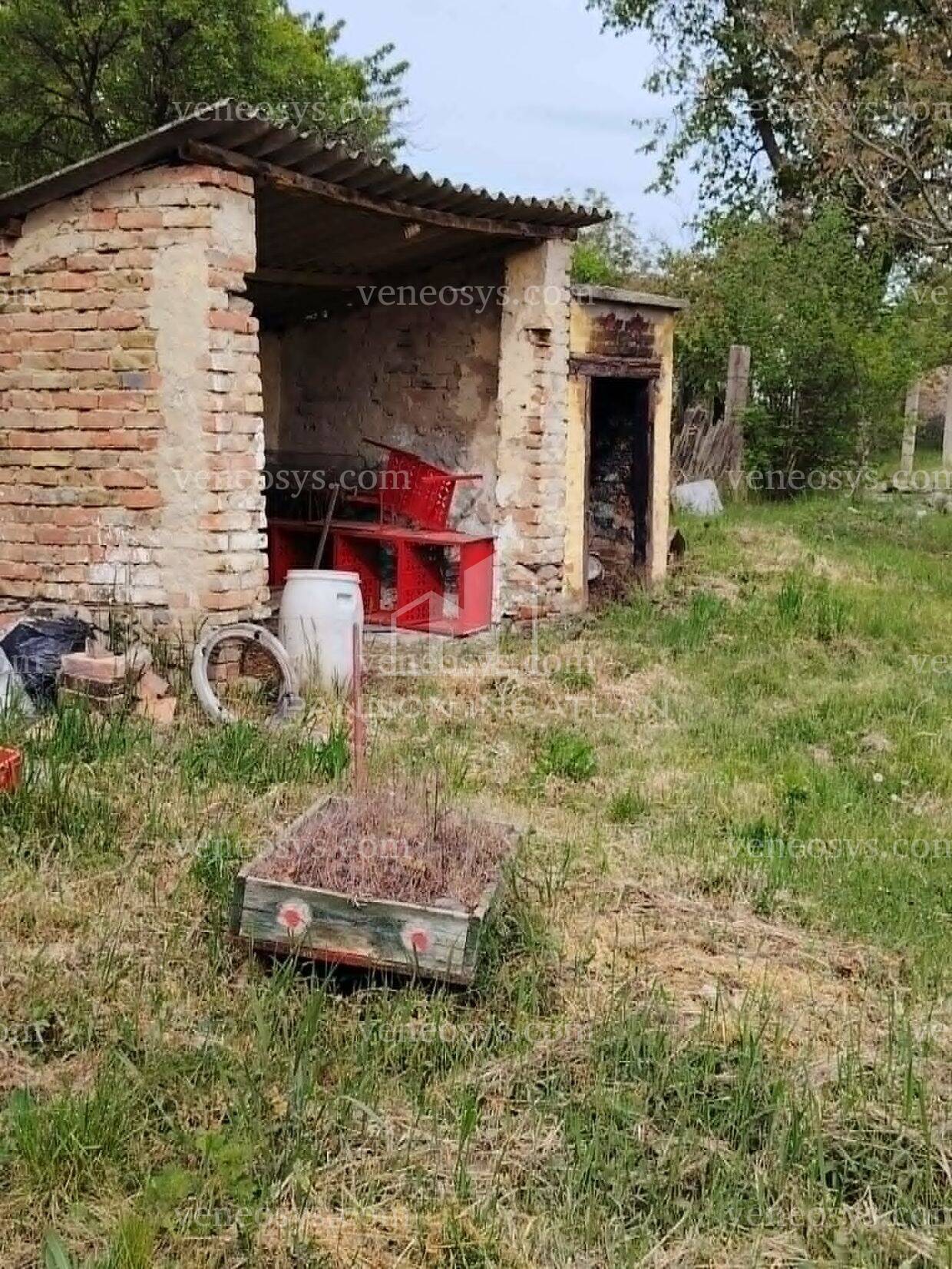 Kép 7