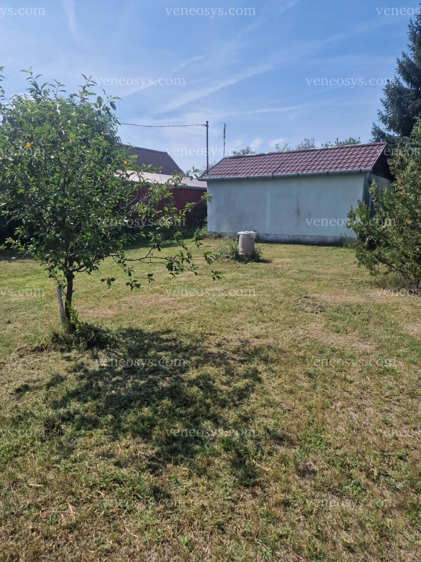 Kép 9