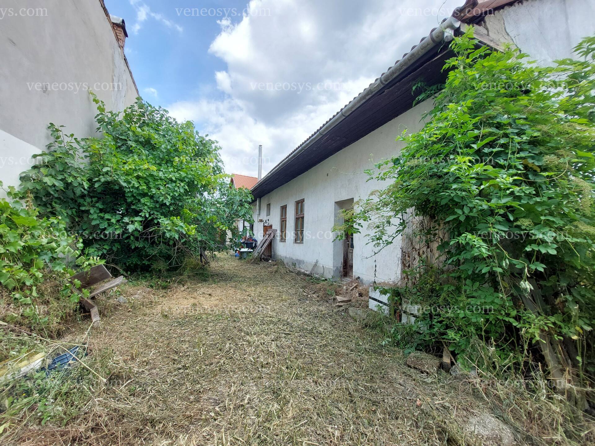 Kép 2