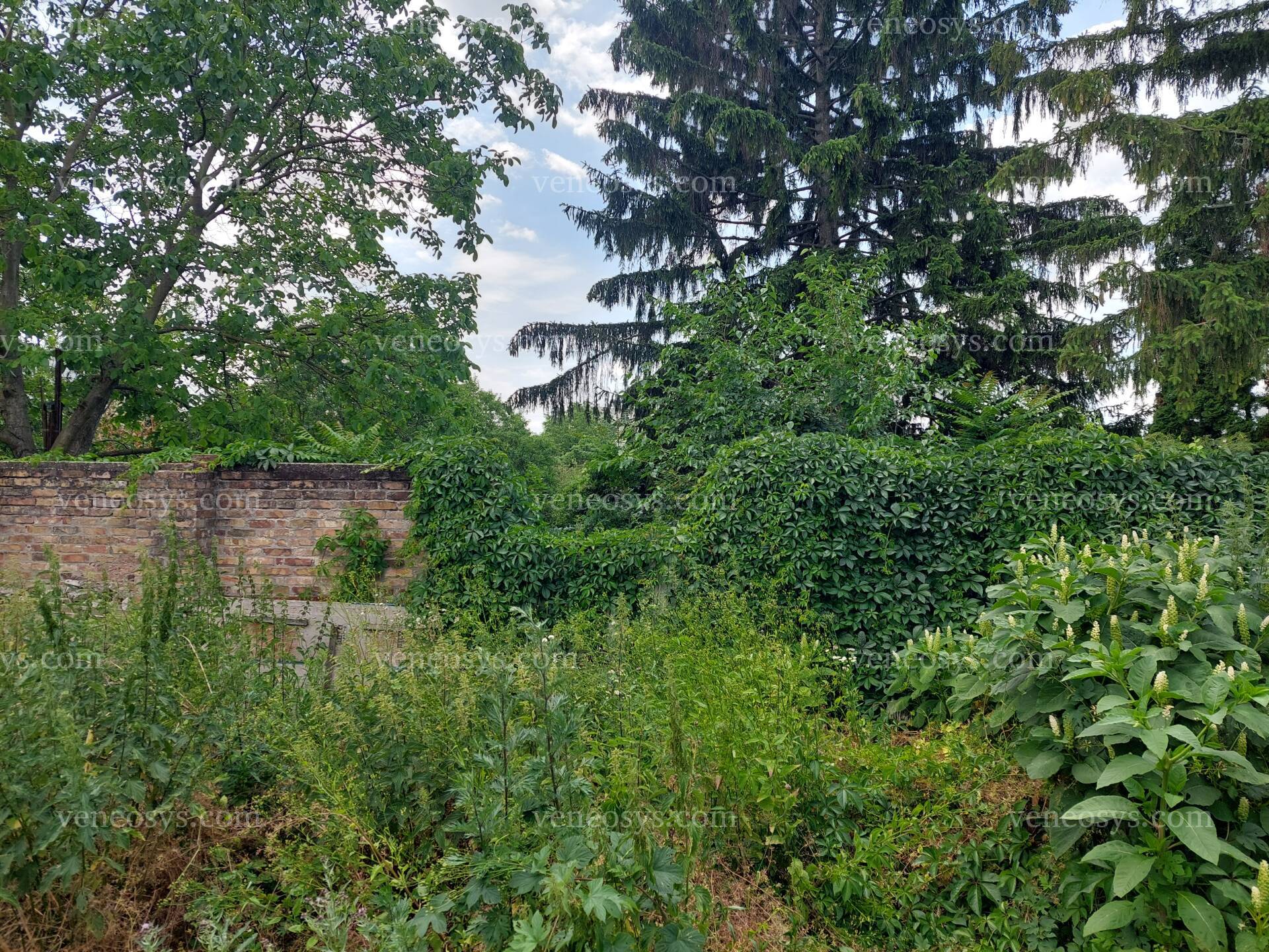 Kép 3