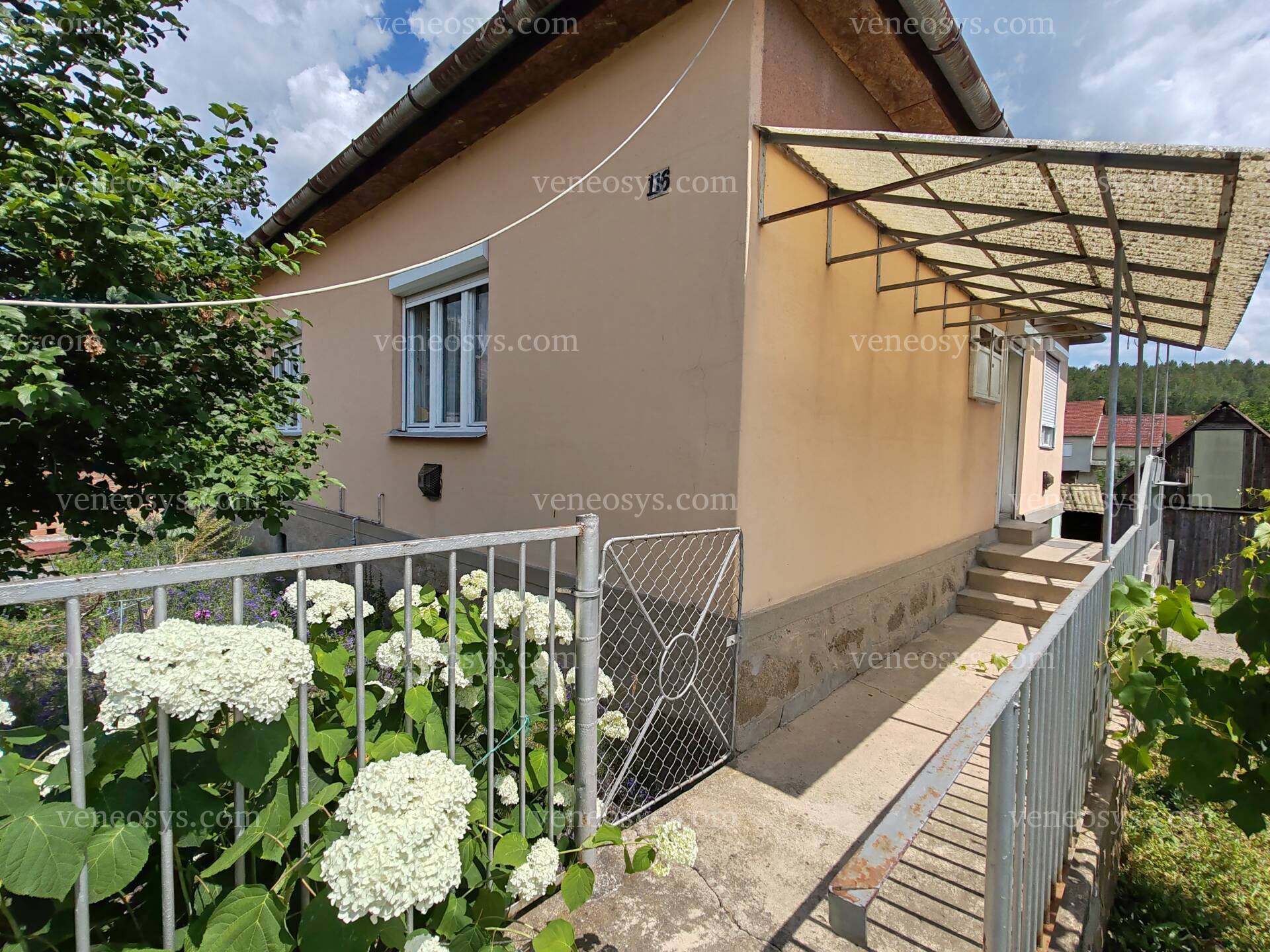 Kép 5