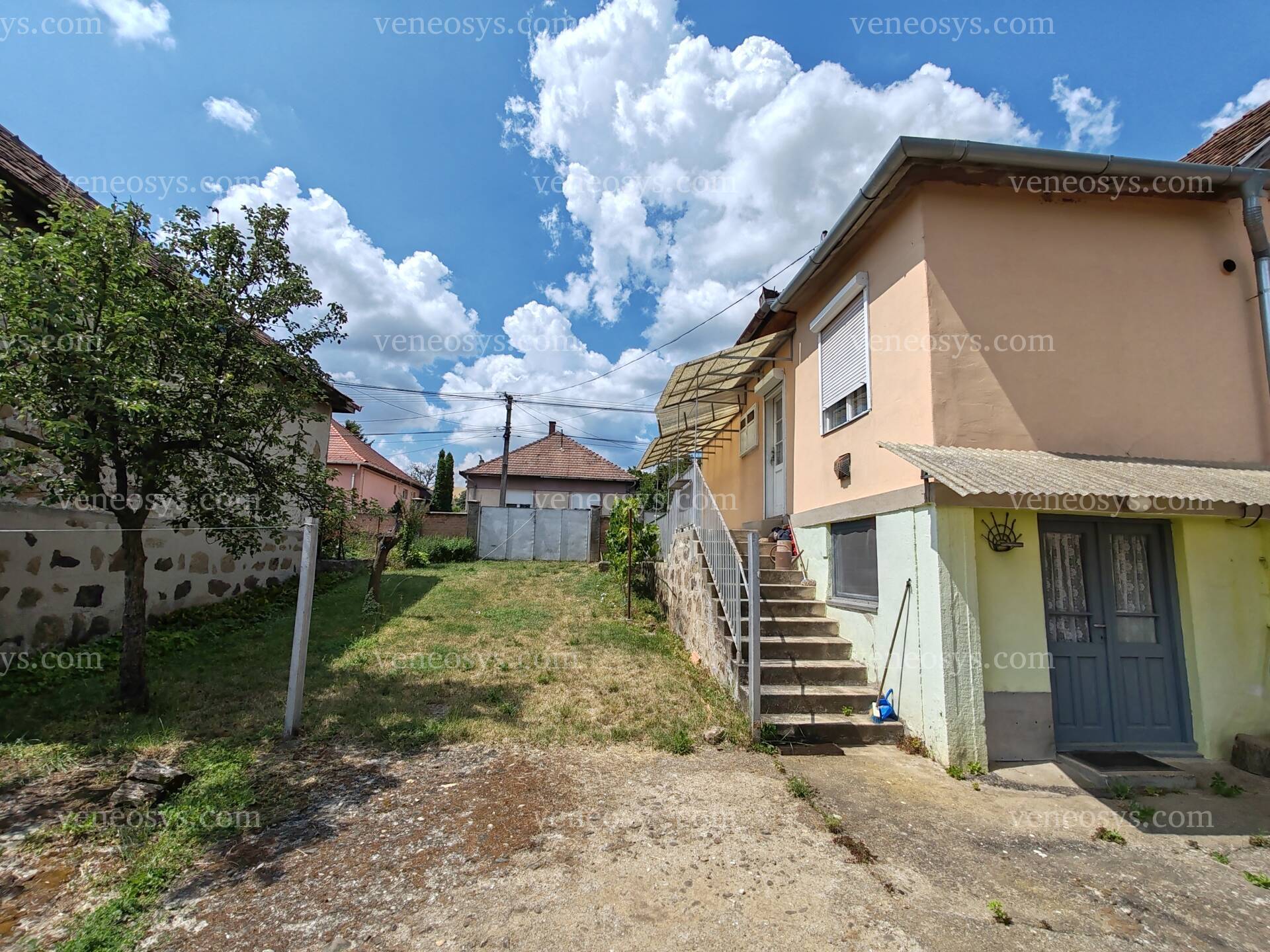 Kép 7