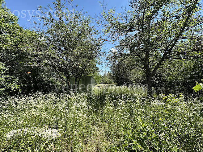 Kép 10